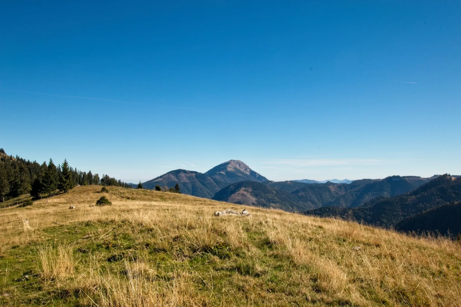 Mountain landscape with grassy plateau and forested hills under a clear blue sky.