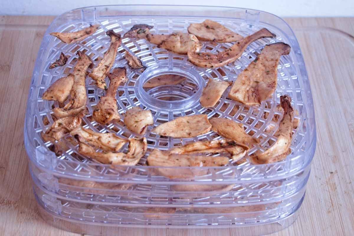 Marinated mushroom slices arranged on dehydrator trays after drying, showing reduced moisture and a firm, leathery texture ready for cooling.
