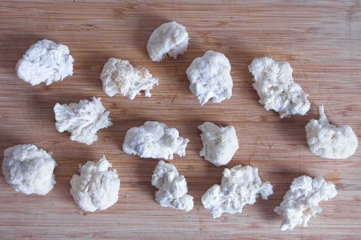 Torn pieces of fresh lion’s mane mushroom arranged on a wooden board before breading.
