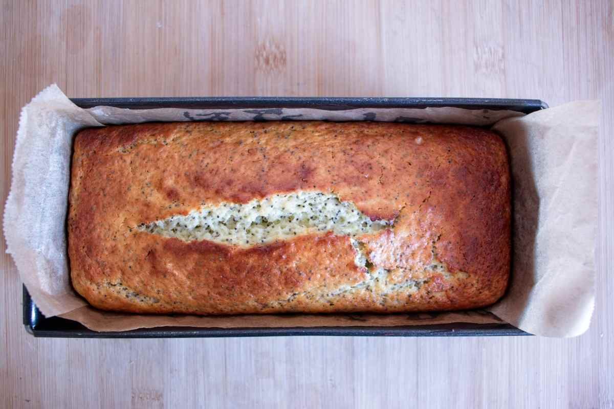 freshly baked lemon poppy seed loaf cooling in a parchment-lined tin