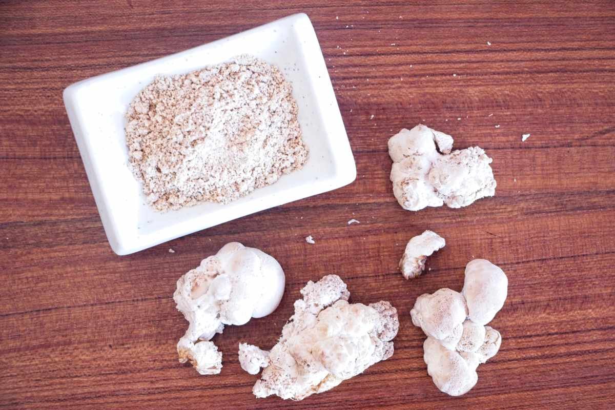 dried lion’s mane mushrooms and homemade mushroom powder on wooden surface