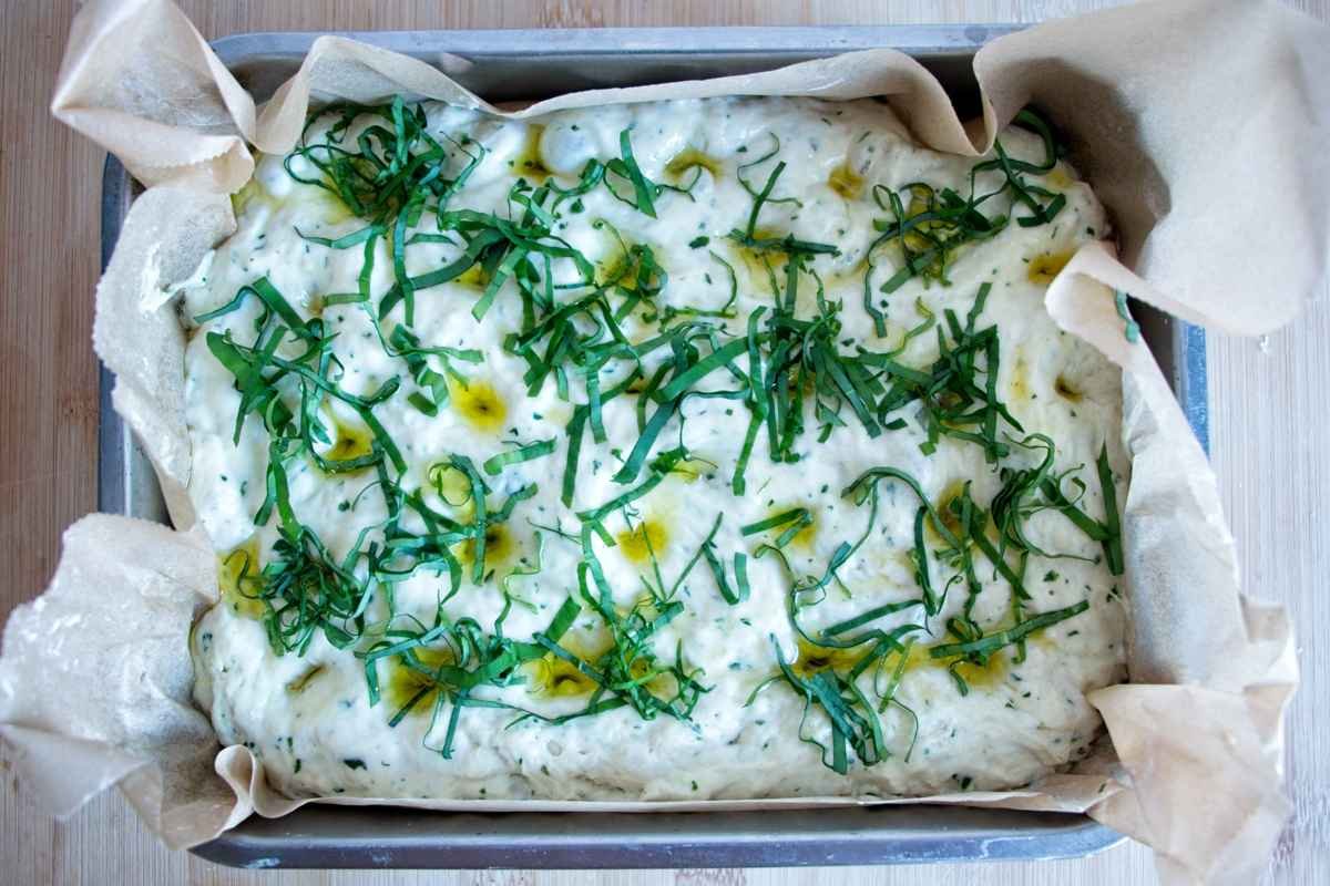 Focaccia dough in baking tray topped with chopped wild garlic and olive oil before baking