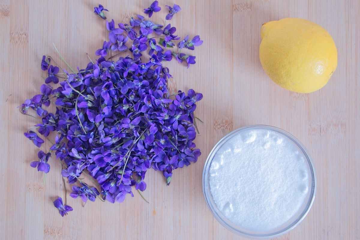 Violet syrup recipe ingredients with fresh violet petals, sugar, and lemon on a wooden surface