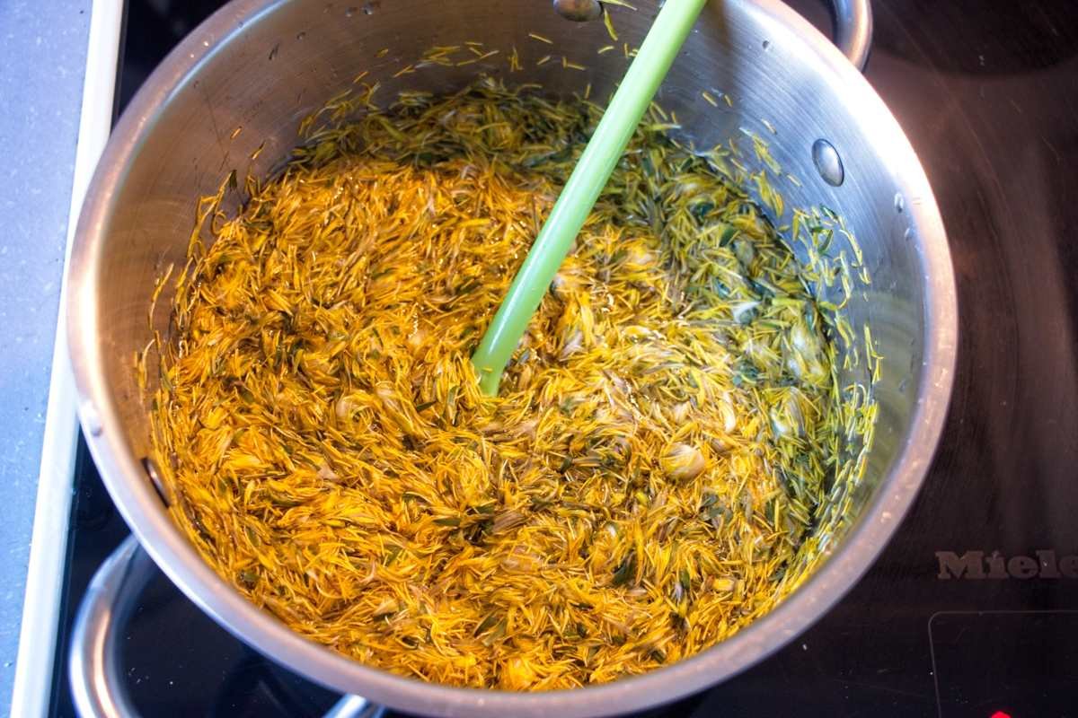 dandelion petals simmering during infusion