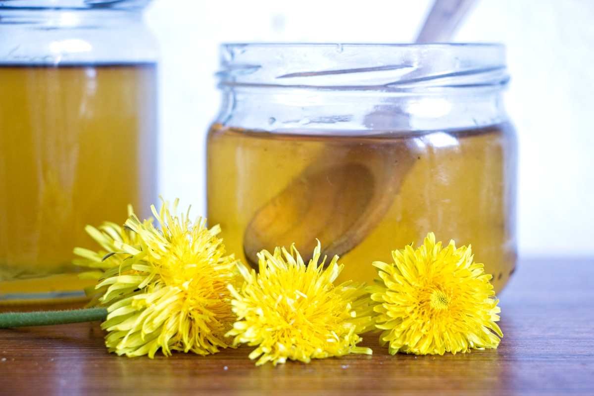 close up of dandelion honey with spoon and blossoms