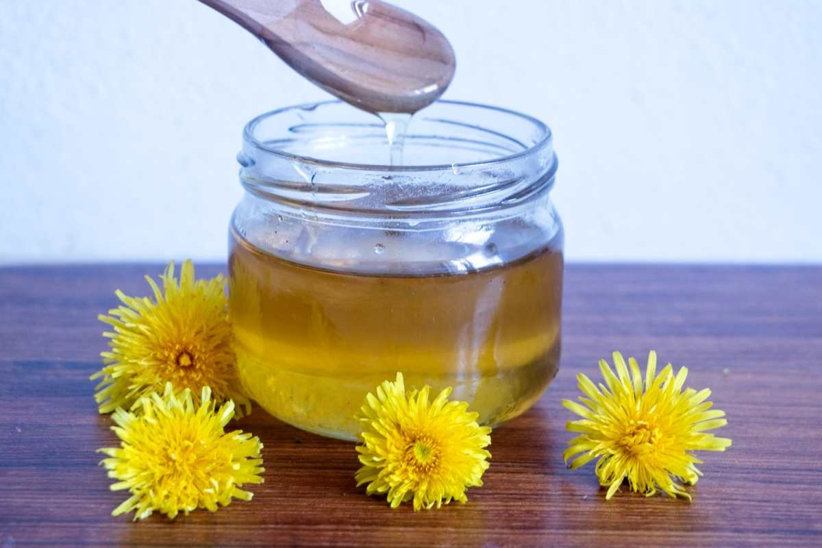 dandelion honey dripping from spoon into glass jar