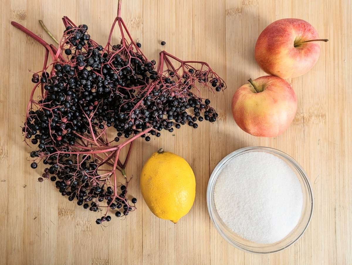 Fresh elderberries, apples, lemon and sugar for elderberry jelly