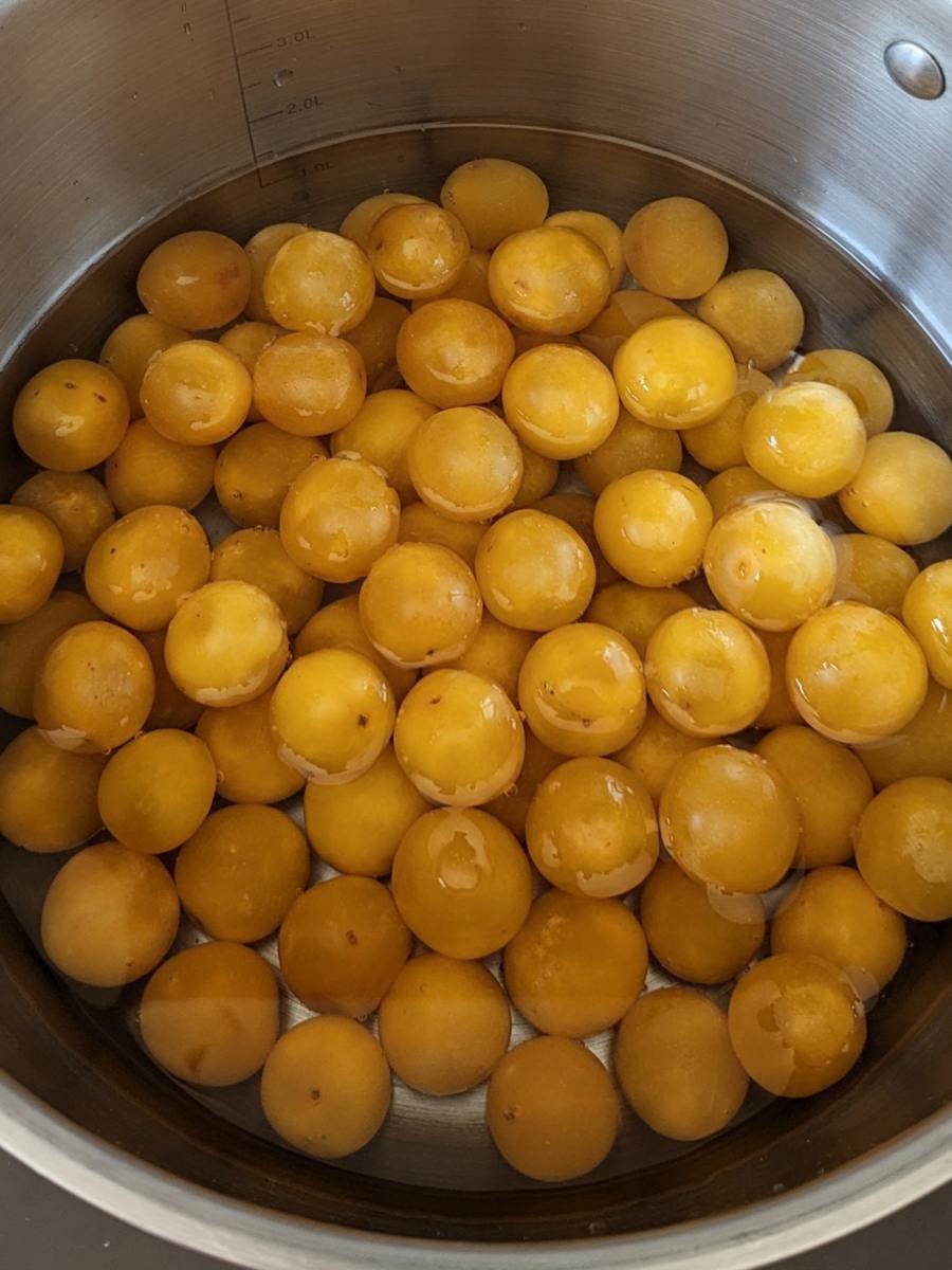 Fresh Mirabelle plums in water ready to be cooked