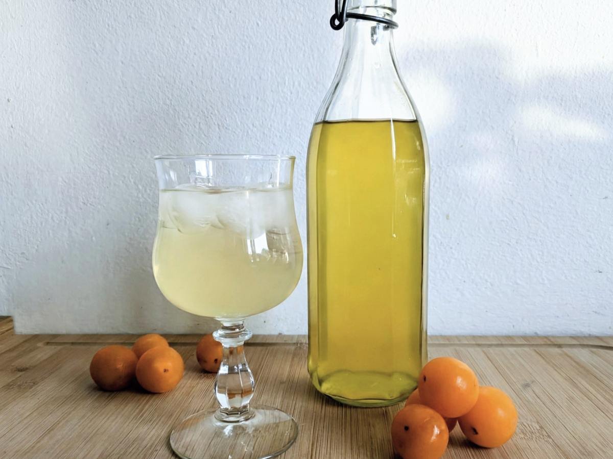 Homemade Mirabelle plum cordial served over ice with a bottle of cordial and fresh plums.