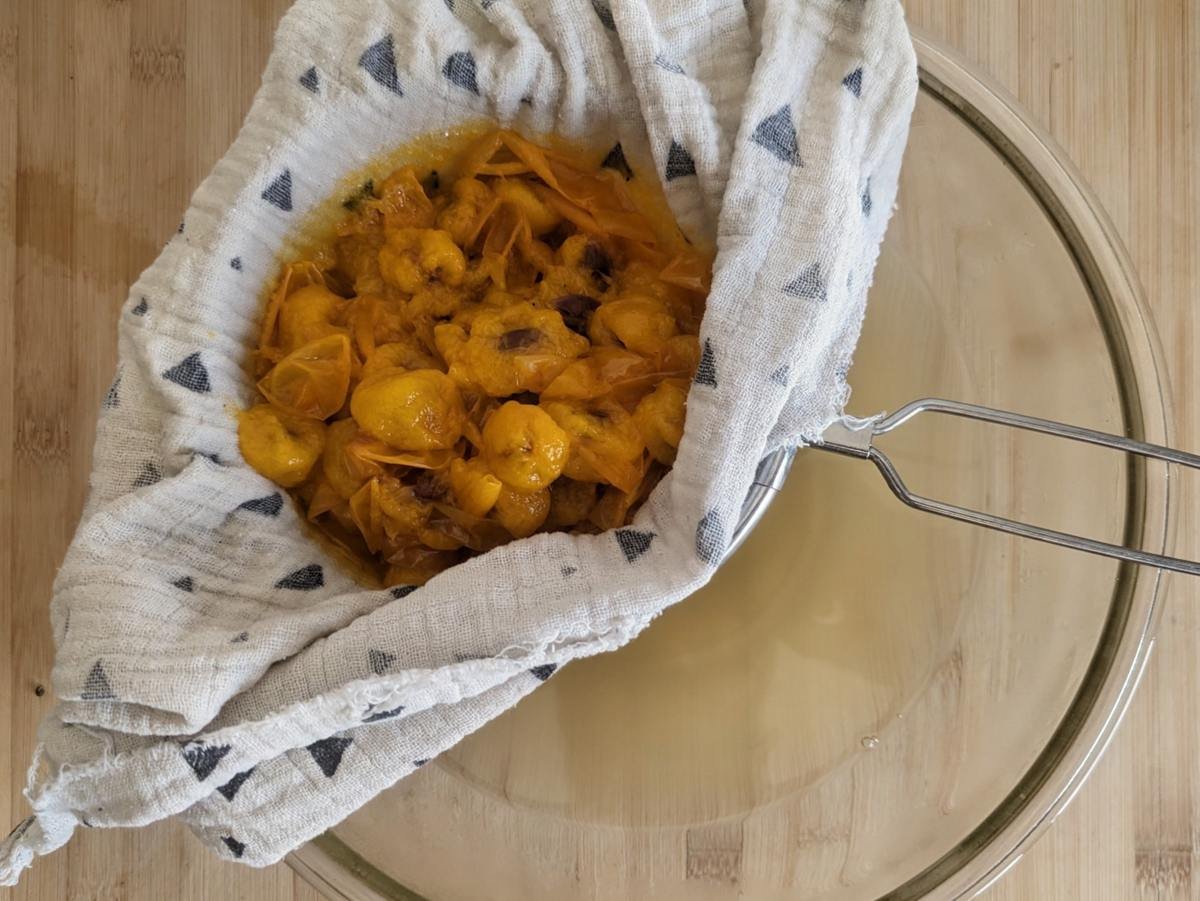 Cooked Mirabelle plums straining through a cloth-lined sieve for homemade plum cordial.