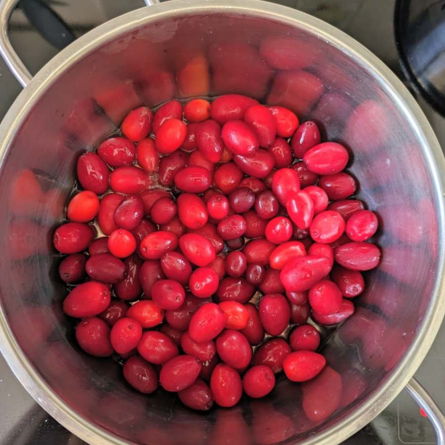 Fresh Cornelian cherries in a saucepan ready to cook for fruit leather.