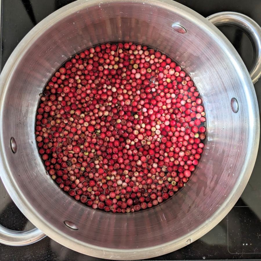 Lingonberries simmering in water in a saucepan before being mashed and strained.
