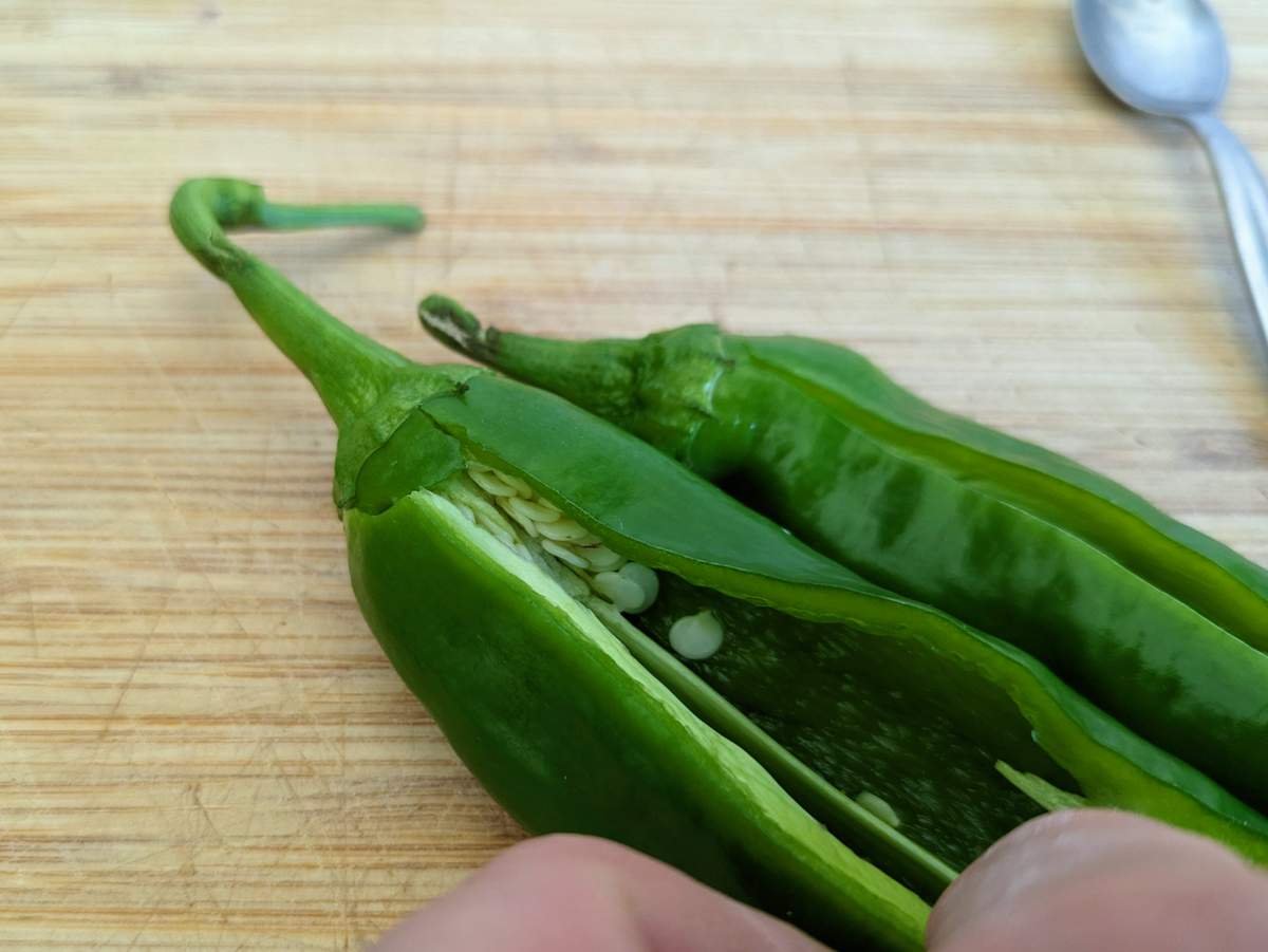 A green pepper held open along a lengthways slit, showing the seeds and pale inner ribs.