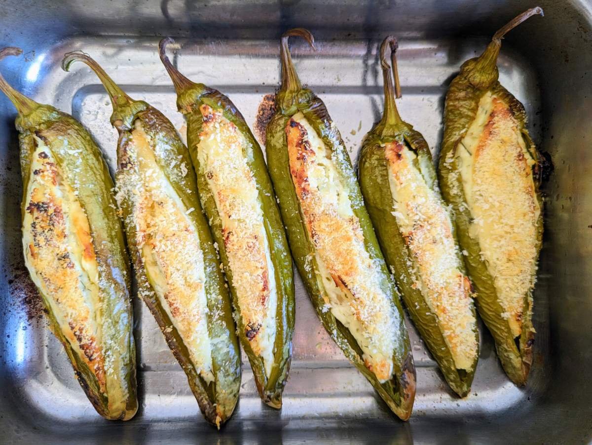 Six stuffed Anaheim peppers with cheese filling and golden breadcrumbs, baked in a metal tin.